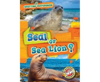 Seal_or_sea_lion_
